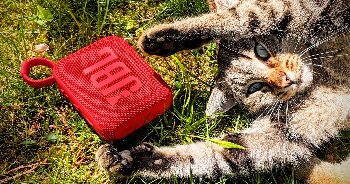 Top 10: Der beste Mini-Bluetooth-Lautsprecher im Test – Marshall, Teufel & JBL