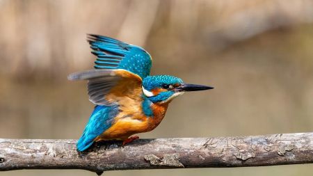 Grün, Rot und Schwarz-Weiß: Die Bilder der Woche 17