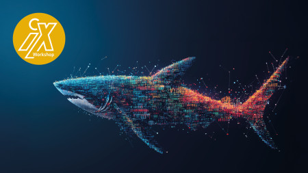 heise-Angebot: iX-Workshop: Netzwerkprobleme mit Wireshark analysieren und beheben