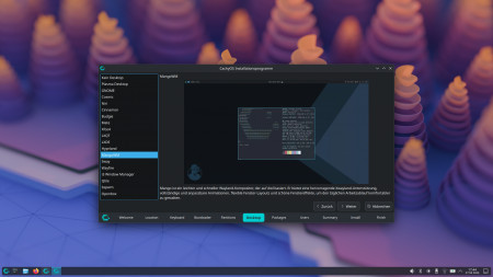 Linux-Distribution CachyOS mit neuer Software-Verwaltung