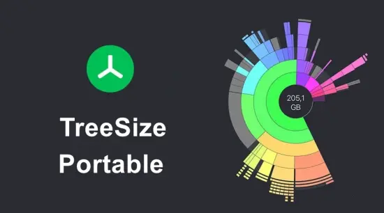 Portable TreeSize Professional 9.8.0.2301 (x64) Multilingual